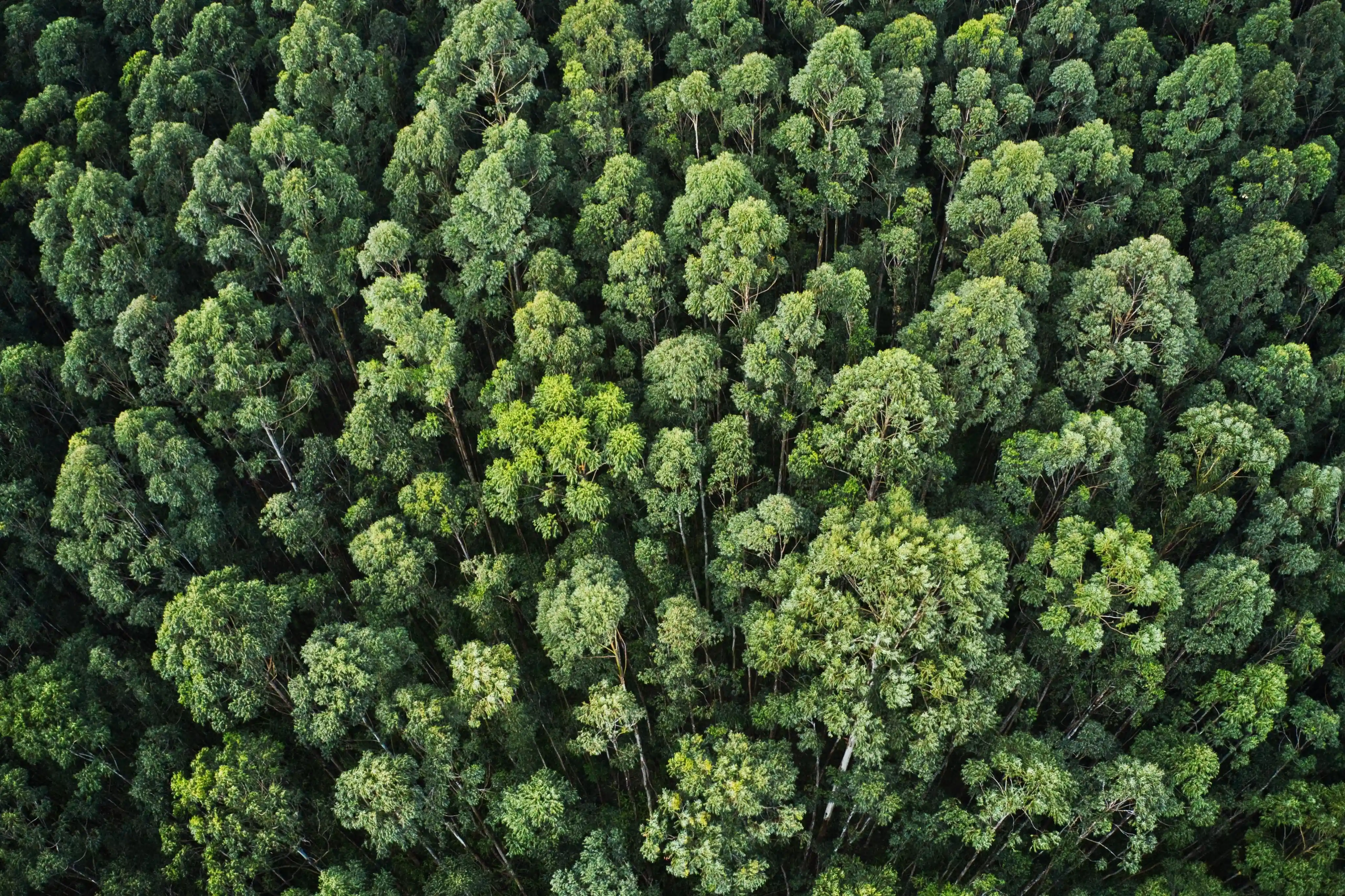 Environmental Protection